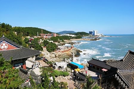 Essential Busan Small Group Tour: Discover Temples, Culture & Cuisine