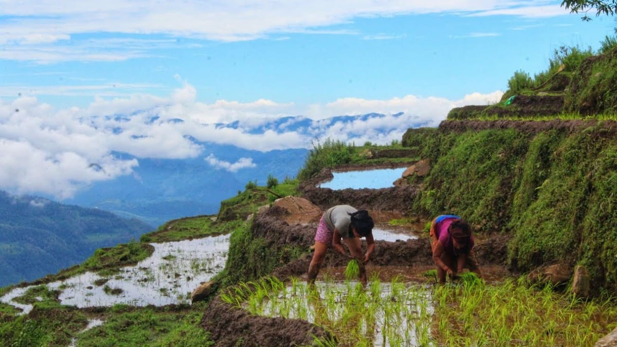 6-Nights Private Sindure VDC Tour from Kathmandu with Homestay