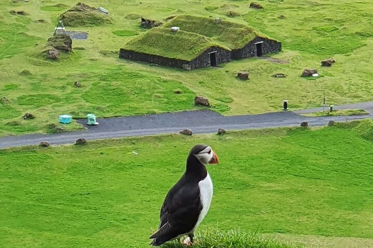 Puffin Scooter Tour, Iceland