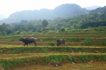 Hiking Tour in the Knuckles Mountains near Kandy, Sri Lanka