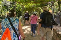 Half Day Private Tour to Botanical Garden in Chania 3