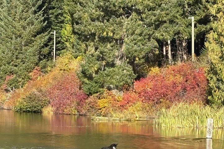 Lost Lake, Whistler
