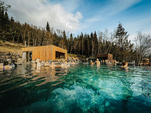 Adventure CRUISE SHIPS! Goðafoss Waterfall, Laufás Museum & Forest Lagoon from Akureyri Port!