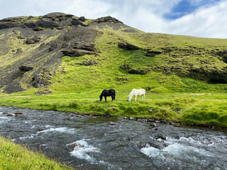 The Glacier Lagoon And The Diamond Beach | Private Tour, photo 10