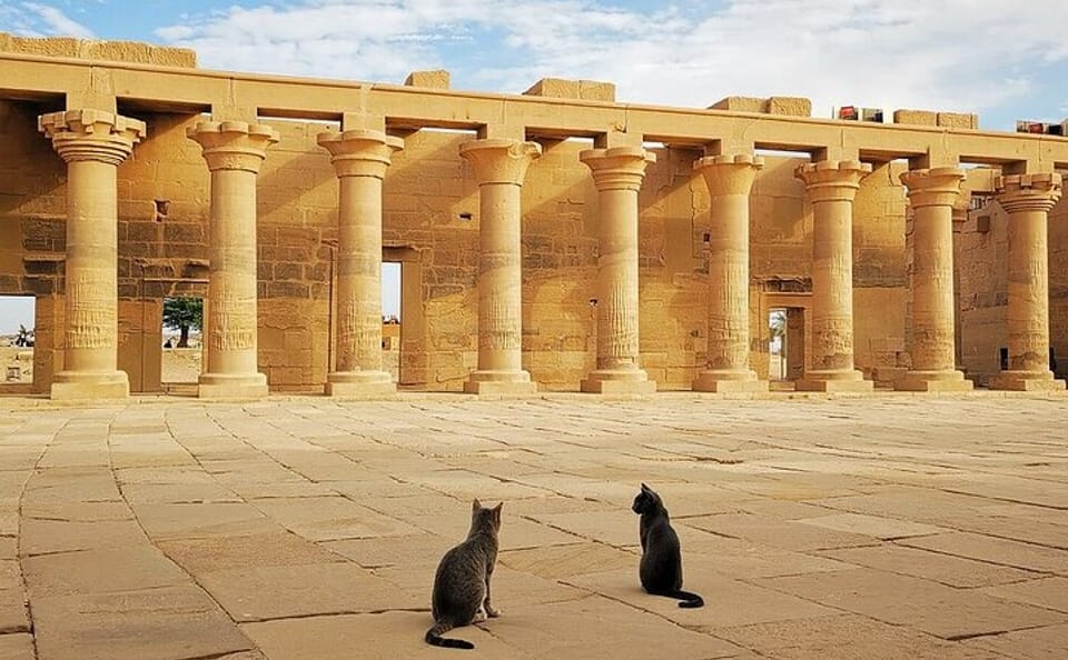 Private Day Tour from Luxor to Aswan and Kom Ombo