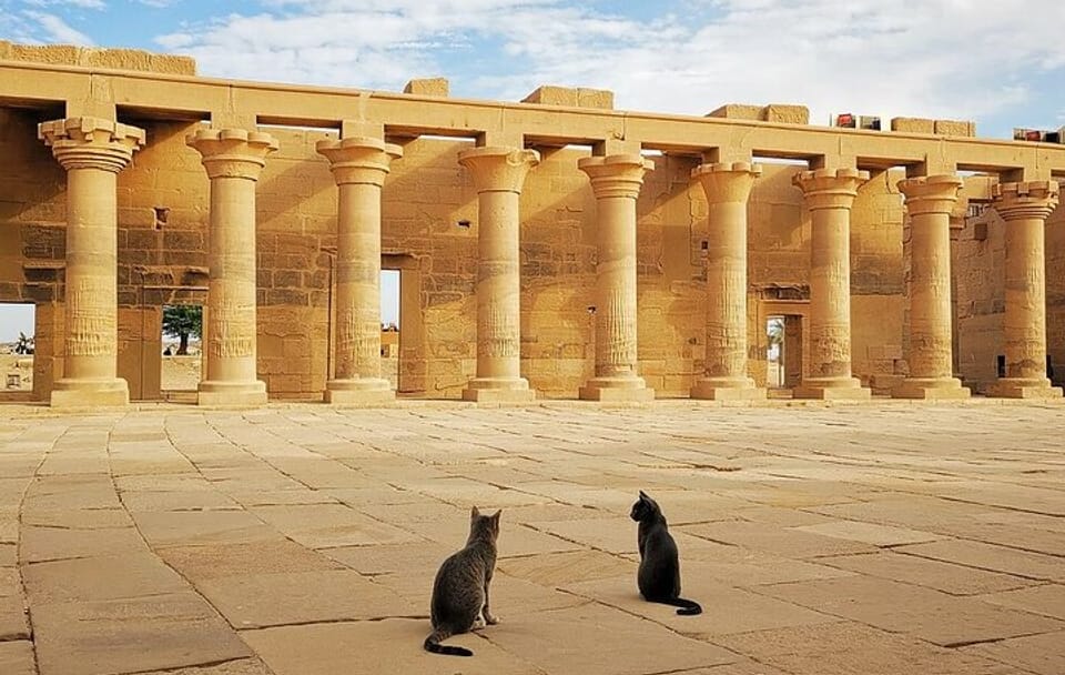 Private Day Tour from Luxor to Aswan and Kom Ombo