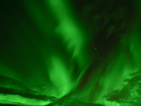 Magical Auroras - Northern lights in a minibus