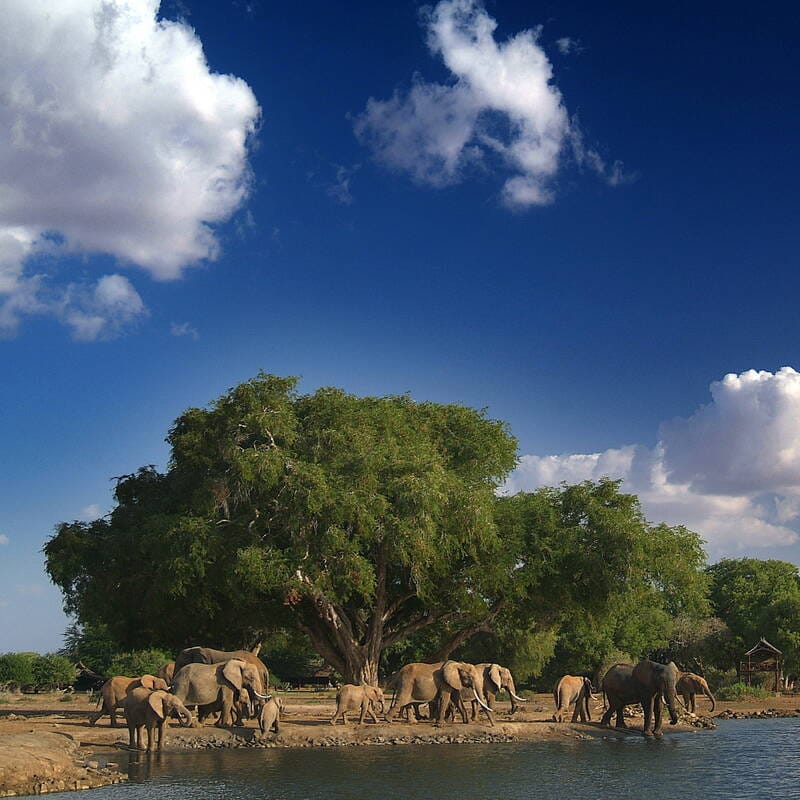 Day tour to Tsavo East National park from Mombasa with pickup 9