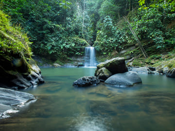 Jungle Paradise Tour: Carpishuyacu Waterfall & Thermal Baths in Tarapoto