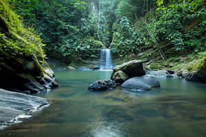 Tar-02 : Jungle Paradise - Carpishuyacu Waterfall & San Jose Thermal Baths