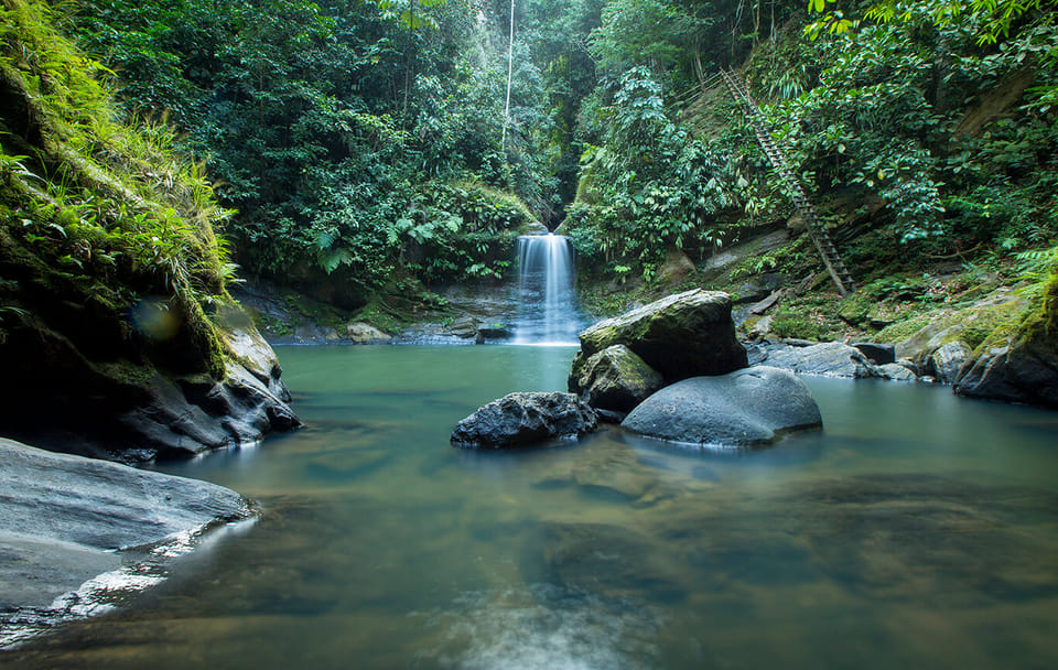 Jungle Paradise Tour: Carpishuyacu Waterfall & Thermal Baths in Tarapoto