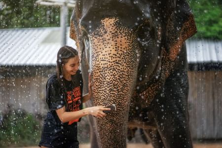 Phuket: Feed & Shower Experience