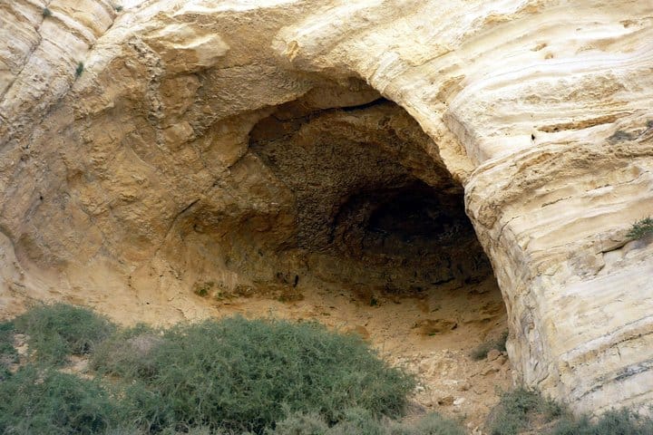 Private Day Trip to Dead Sea and Masada from Tel Aviv 5