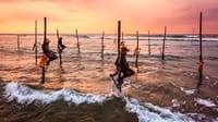 04 Day Tour From  Galle ( Without Accommodation) 9