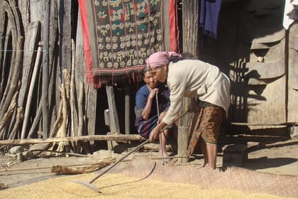 Colonial Cities, Train, Tea, Tiger & Tribal