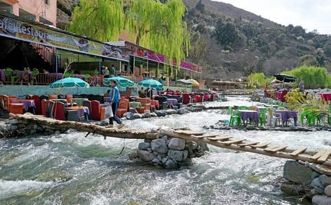 Atlas Mountains Day Trip from Marrakech with Local Culture Experience