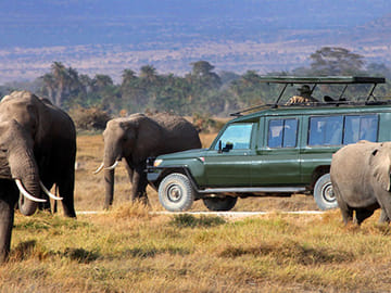 3 Days Masai Mara Group Joining Safari