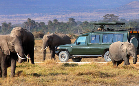 3 Days Masai Mara Group Joining Safari