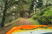 Curral das Freiras & Peaks 4WD Tour 7
