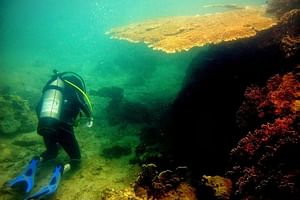 Nha Trang Diving at Mun Island full day tour