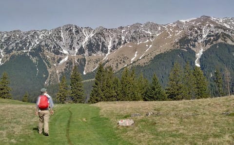 4-Day Trek in Bucegi Mountains and Piatra Craiului, Romania