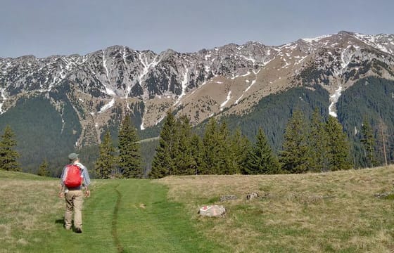 4-Day Carpathian Trek: Bucegi Mountains and Piatra Craiului National Park