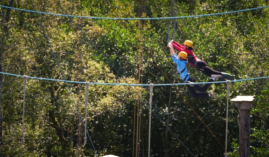 High ropes course challenge. Galway. Guided.