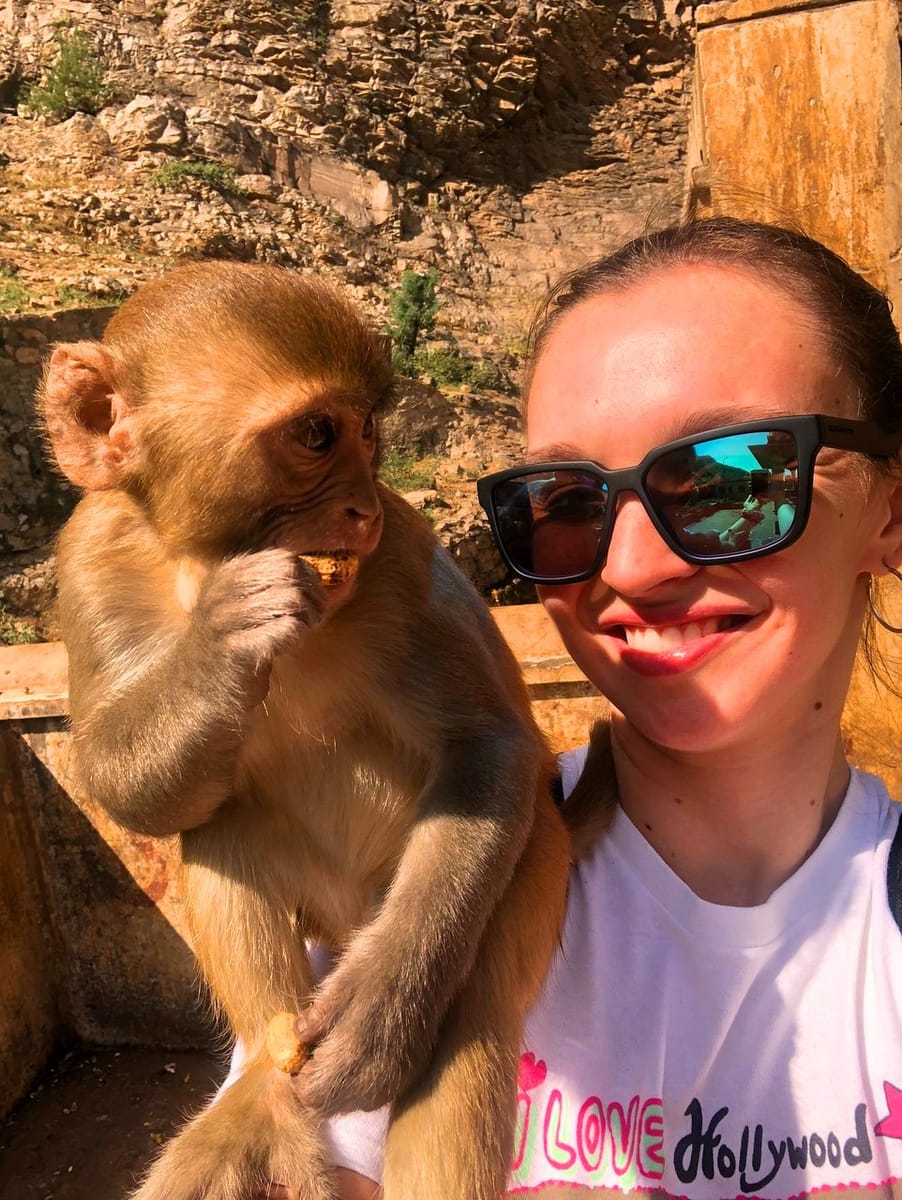 Jaipur Day trip from Delhi by Private AC Vehicle.