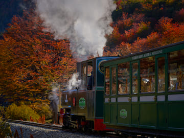 Tierra del Fuego National Park Tour in Ushuaia with Train Option