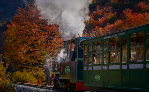 Tierra del Fuego National Park Tour in Ushuaia with Train Option
