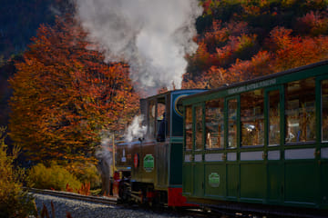 Tierra del Fuego National Park Tour in Ushuaia with Train Option