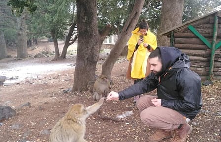 Private Day Tour from Fez to the Middle Atlas