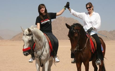 Horseback Riding Tour in Sharm El Sheikh Desert, Egypt