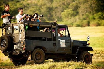 Yala Half Day Safari from Yala