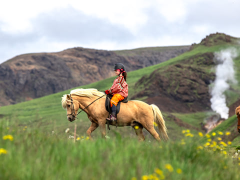 03C - Horses and Hot Springs, photo 9
