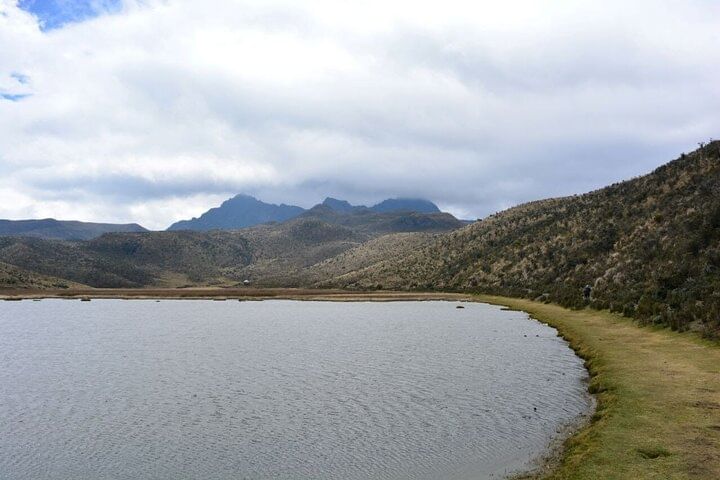 Private Tour from Quito to Cotopaxi Volcano + Rose Plantation