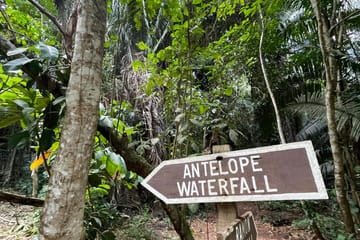 Hiking Adventure to Waterfalls in Bocawina National Park, Belize
