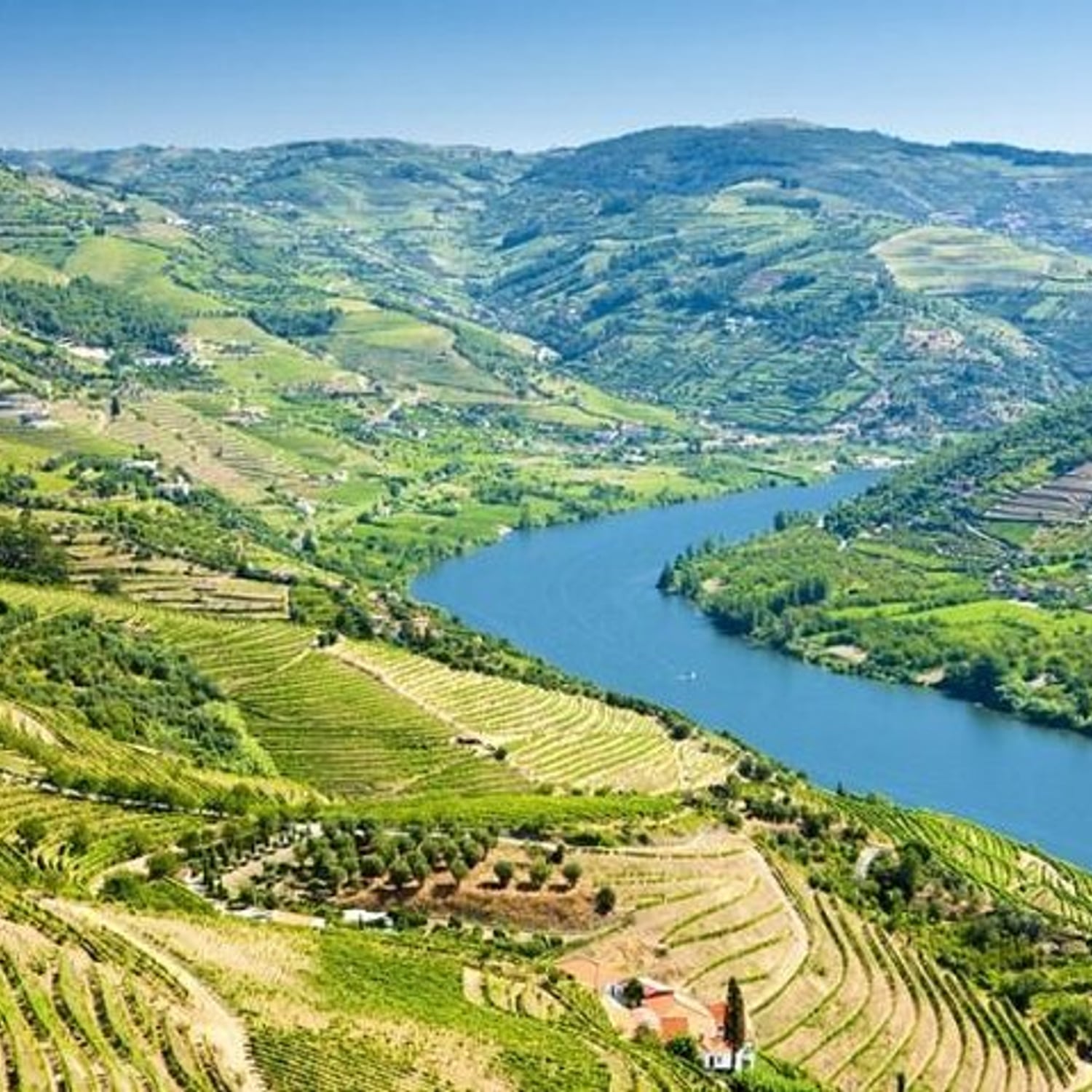Douro histórico com almoço e cruzeiro