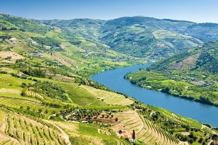 From Porto: Douro Valley Historical Tour with Lunch Winery w/ Tastings and Cruise