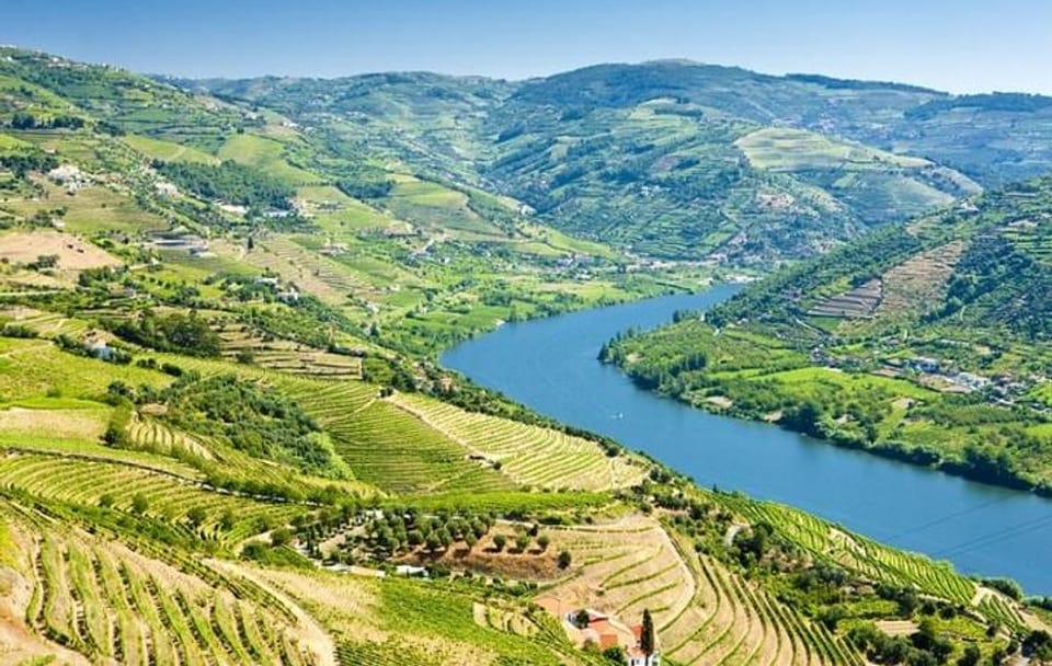 Douro Valley Wine Tour with Cruise from Porto