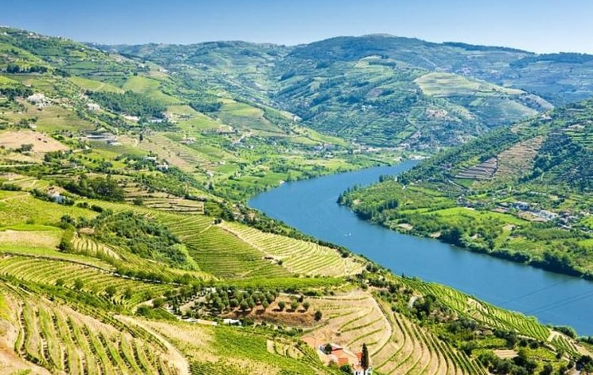 From Porto: Douro Valley Historical Tour with Lunch Winery w/ Tastings and Cruise
