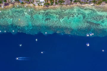 Private Snorkeling Tour of Moalboal's Sardine Run in Cebu