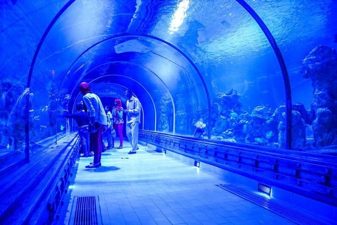 Hurghada Grand Aquarium Trip