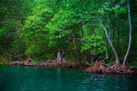 Samana Boat Tour Los Haitises Bacardi Island Full Day 3