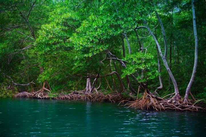 Samana Boat Tour Los Haitises Bacardi Island Full Day 3