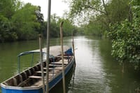 Ride down the river