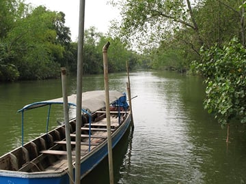 Ride down the river