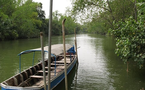 Pranburi River 4.5-Hour Scenic Trip from Hua Hin