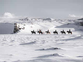 Whales & Horses, photo 7