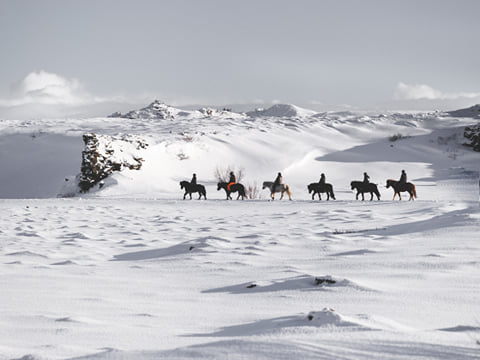 Whales & Horses, photo 7